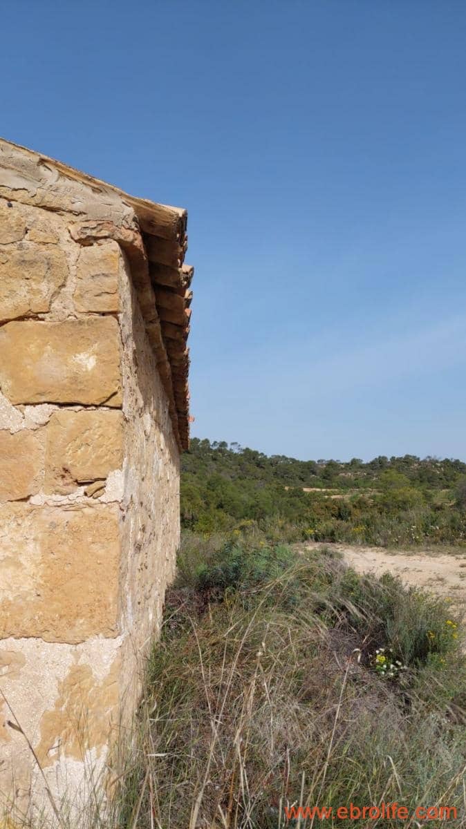 1 sypialnia Finka/Dom wiejski na sprzedaż w Maella - 42 000 € (Ref: 9763971)