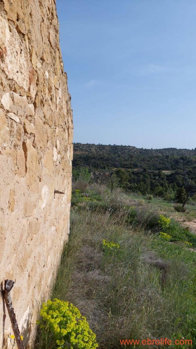 1 sypialnia Finka/Dom wiejski na sprzedaż w Maella - 42 000 € (Ref: 9763971)