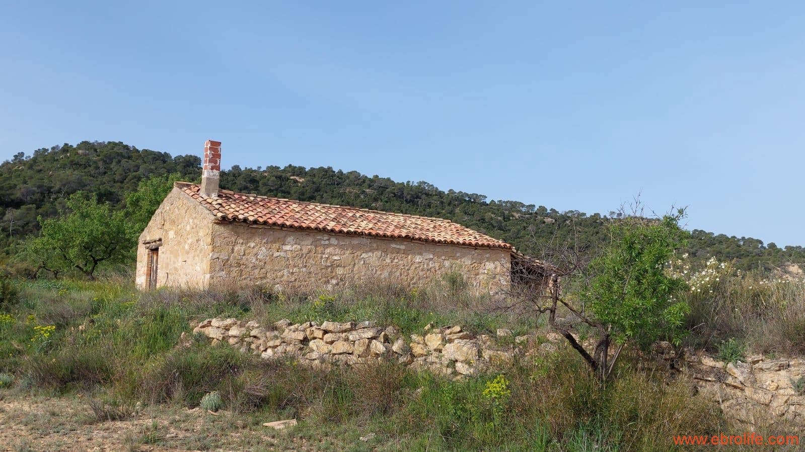 1 sypialnia Finka/Dom wiejski na sprzedaż w Maella - 42 000 € (Ref: 9763971)