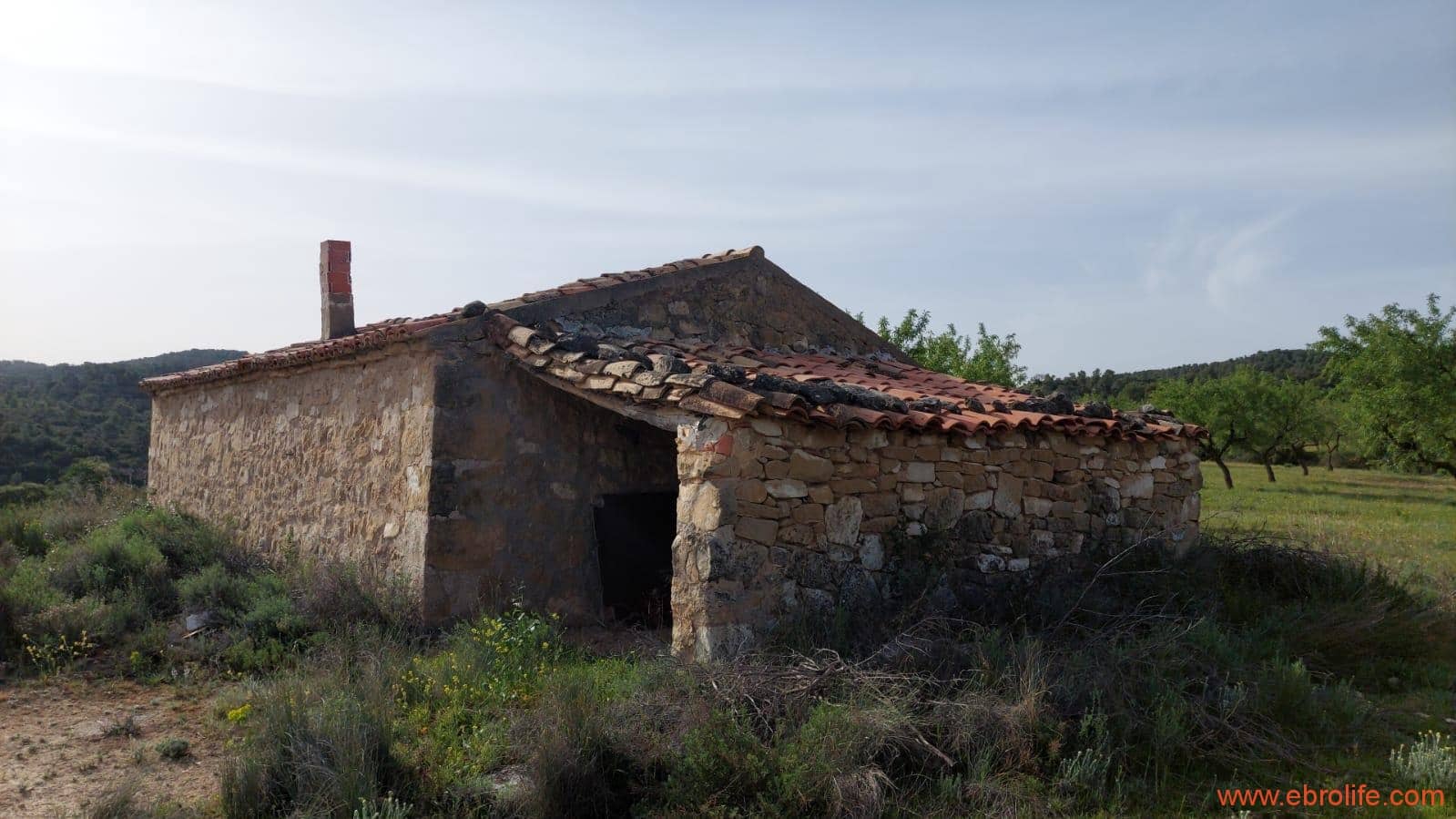 1 sypialnia Finka/Dom wiejski na sprzedaż w Maella - 42 000 € (Ref: 9763971)