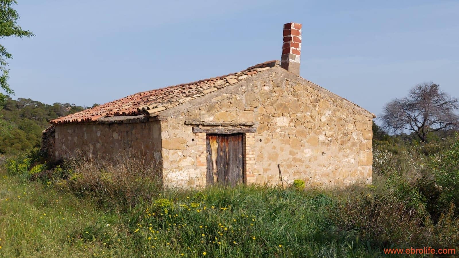 1 sypialnia Finka/Dom wiejski na sprzedaż w Maella - 42 000 € (Ref: 9763971)