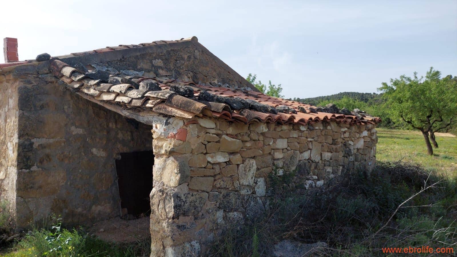 1 sypialnia Finka/Dom wiejski na sprzedaż w Maella - 42 000 € (Ref: 9763971)