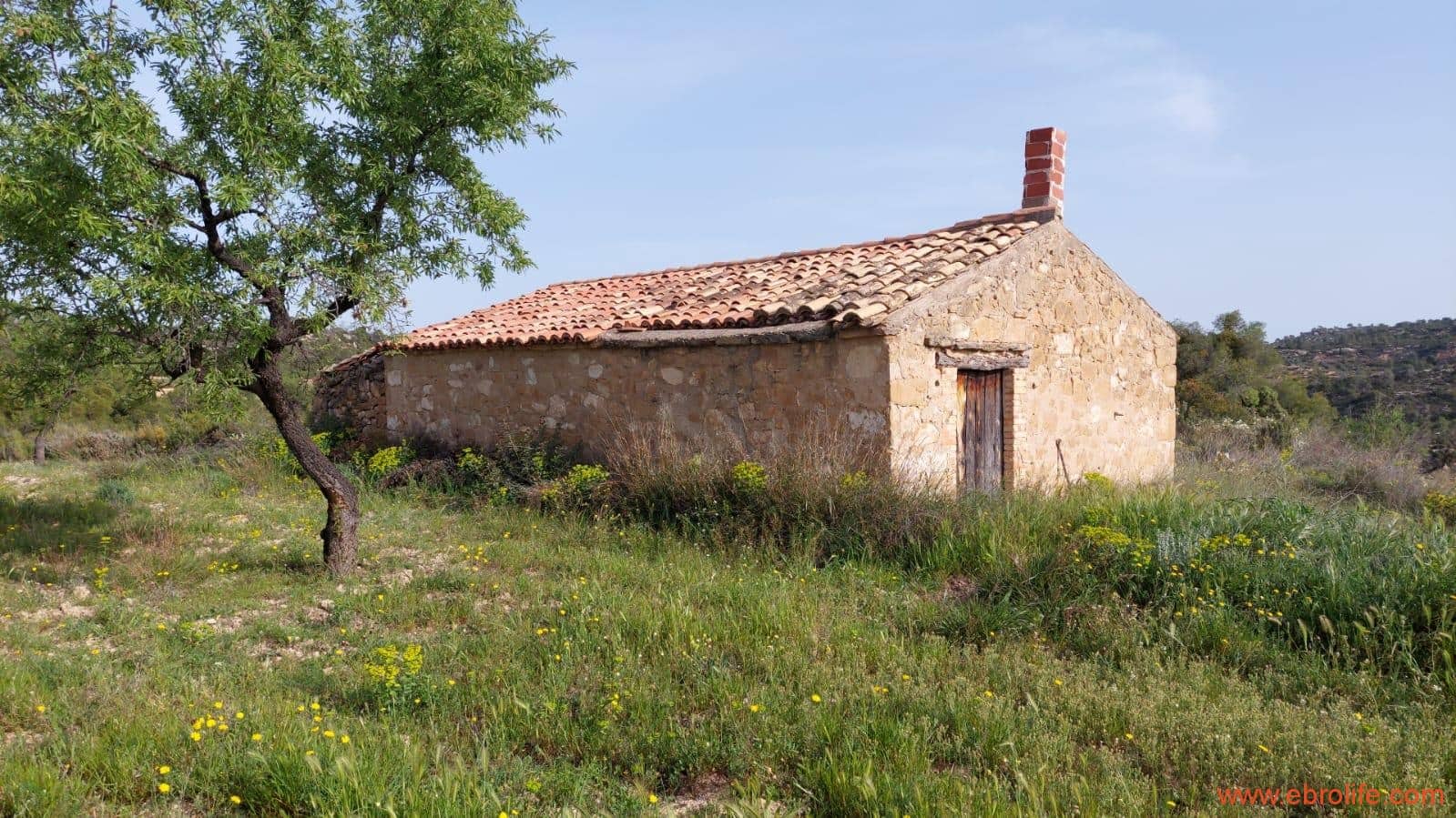 1 sypialnia Finka/Dom wiejski na sprzedaż w Maella - 42 000 € (Ref: 9763971)