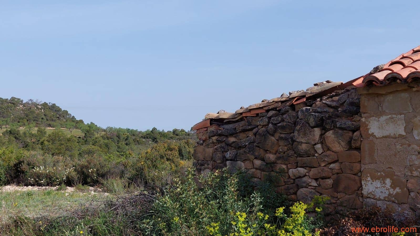 1 sypialnia Finka/Dom wiejski na sprzedaż w Maella - 42 000 € (Ref: 9763971)