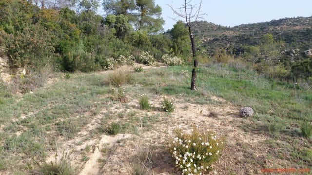 1 soverom Finca/Herregård til salgs i Maella - € 42 000 (Ref: 9763971)