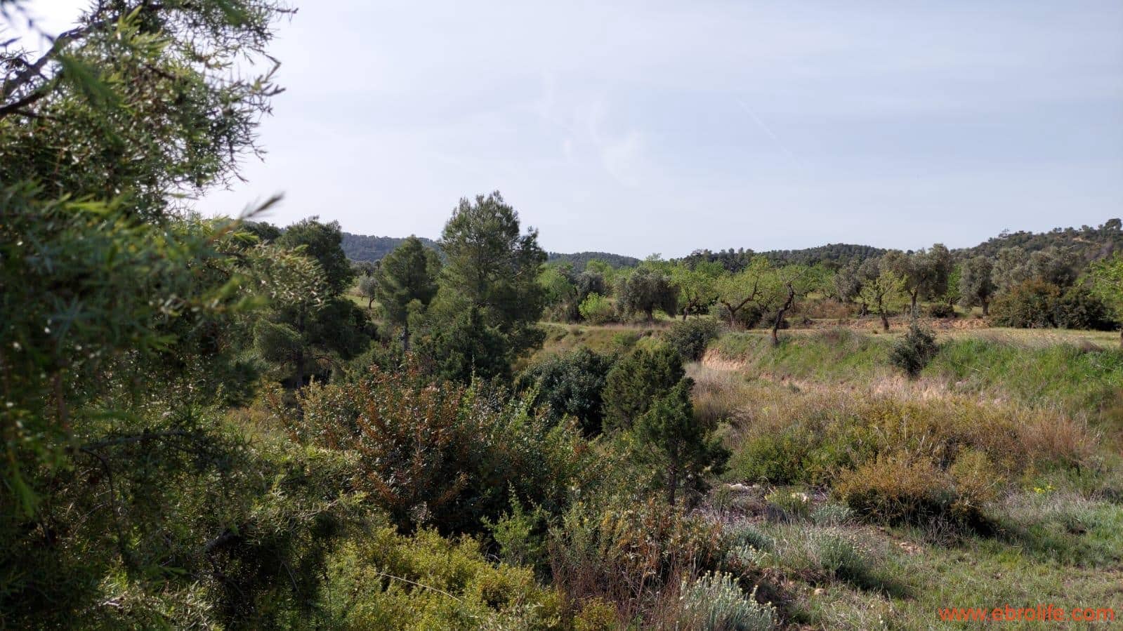 1 sypialnia Finka/Dom wiejski na sprzedaż w Maella - 42 000 € (Ref: 9763971)