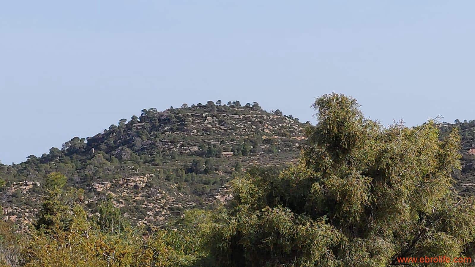 1 sypialnia Finka/Dom wiejski na sprzedaż w Maella - 42 000 € (Ref: 9763971)