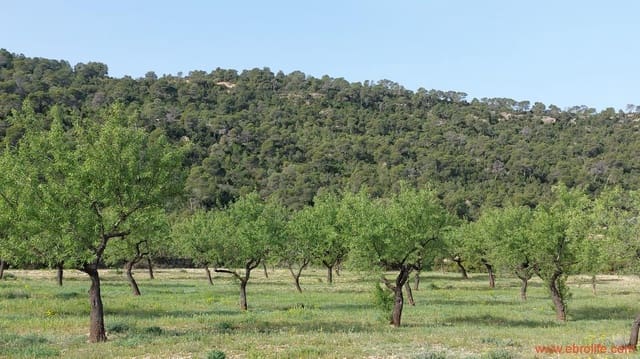 1 soverom Finca/Herregård til salgs i Maella - € 42 000 (Ref: 9763971)