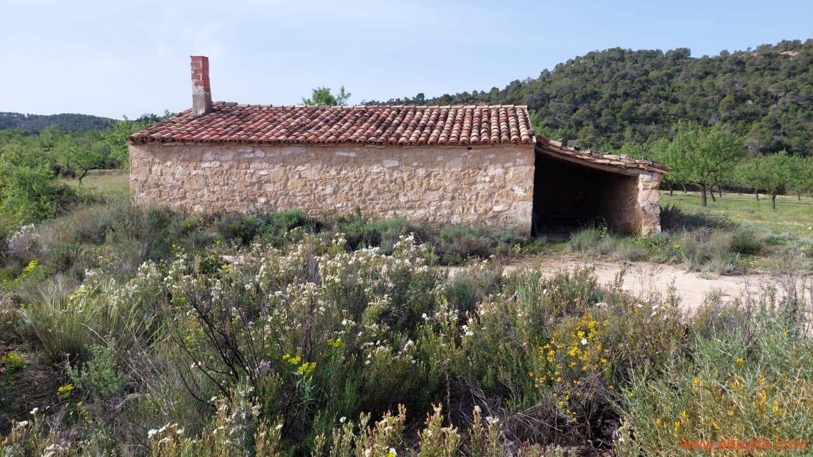 1 sypialnia Finka/Dom wiejski na sprzedaż w Maella - 42 000 € (Ref: 9763971)