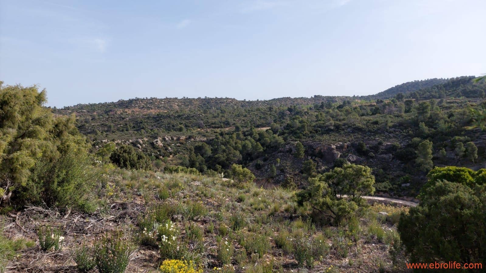 1 sypialnia Finka/Dom wiejski na sprzedaż w Maella - 42 000 € (Ref: 9763971)