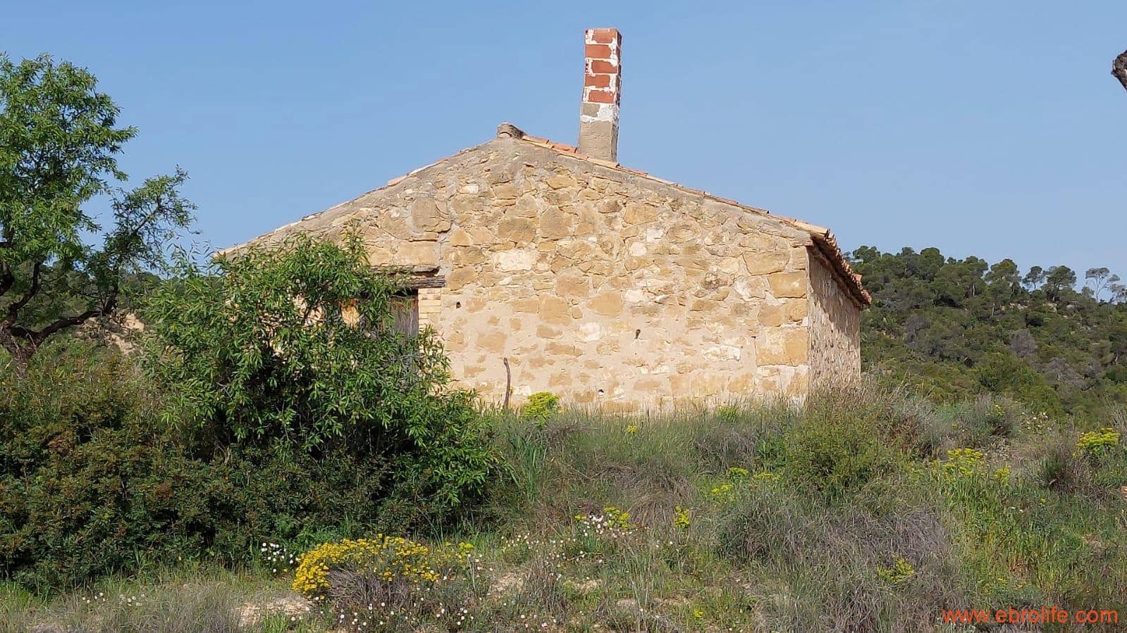 1 sypialnia Finka/Dom wiejski na sprzedaż w Maella - 42 000 € (Ref: 9763971)