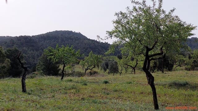 1 soverom Finca/Herregård til salgs i Maella - € 42 000 (Ref: 9763971)