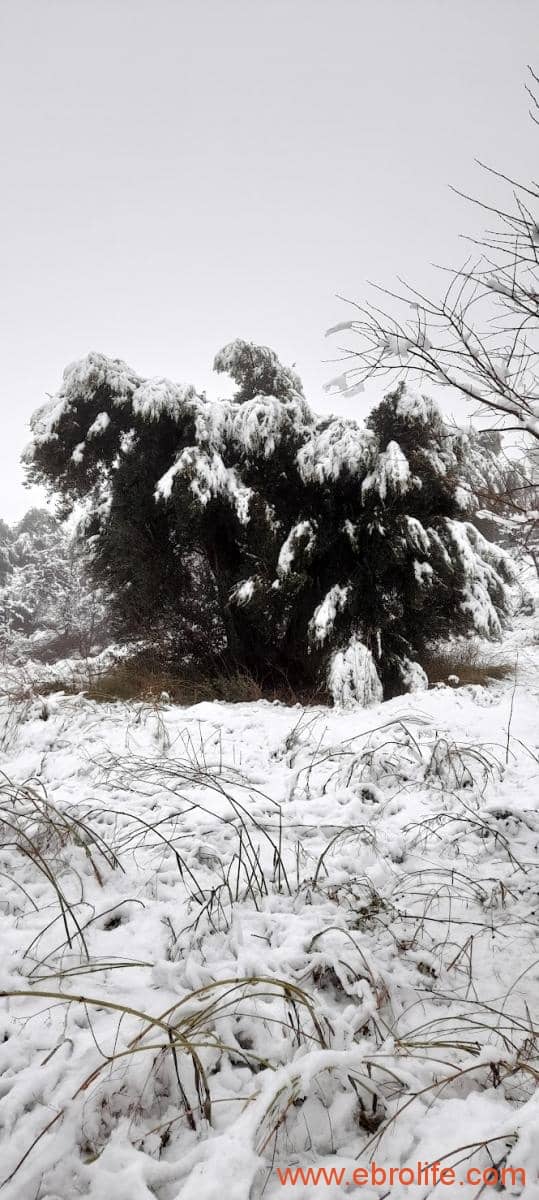 2 chambre Maison de Ville à vendre à Valderrobres - 320 000 € (Ref: 9764856)