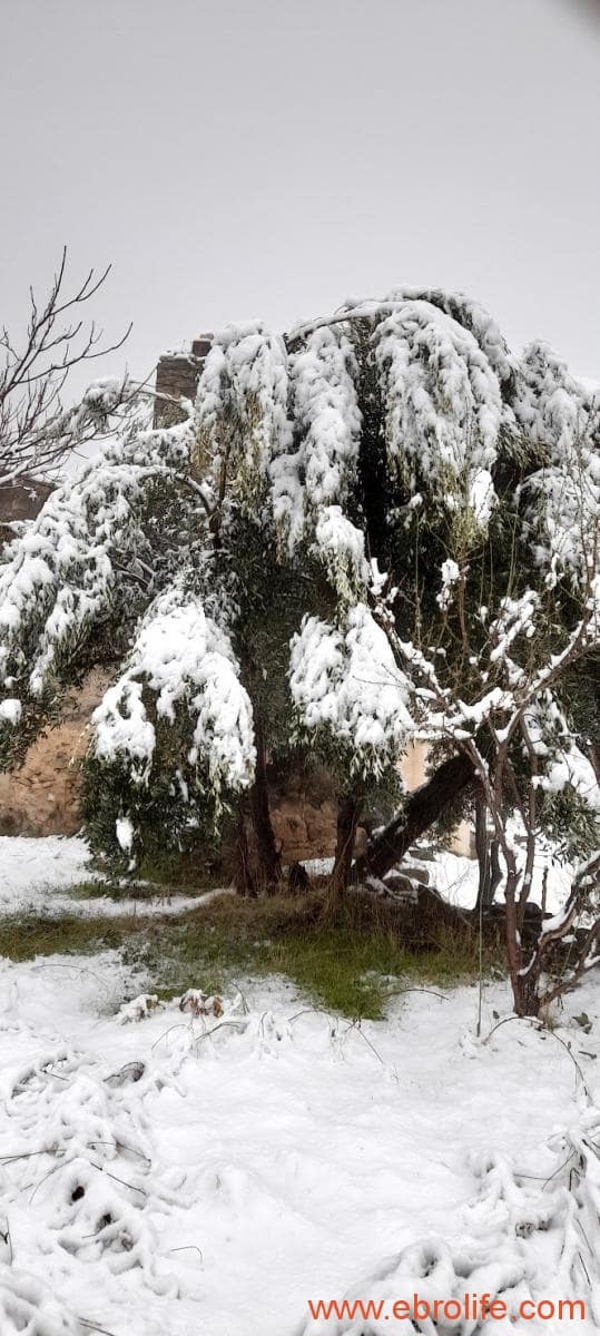 2 chambre Maison de Ville à vendre à Valderrobres - 320 000 € (Ref: 9764856)