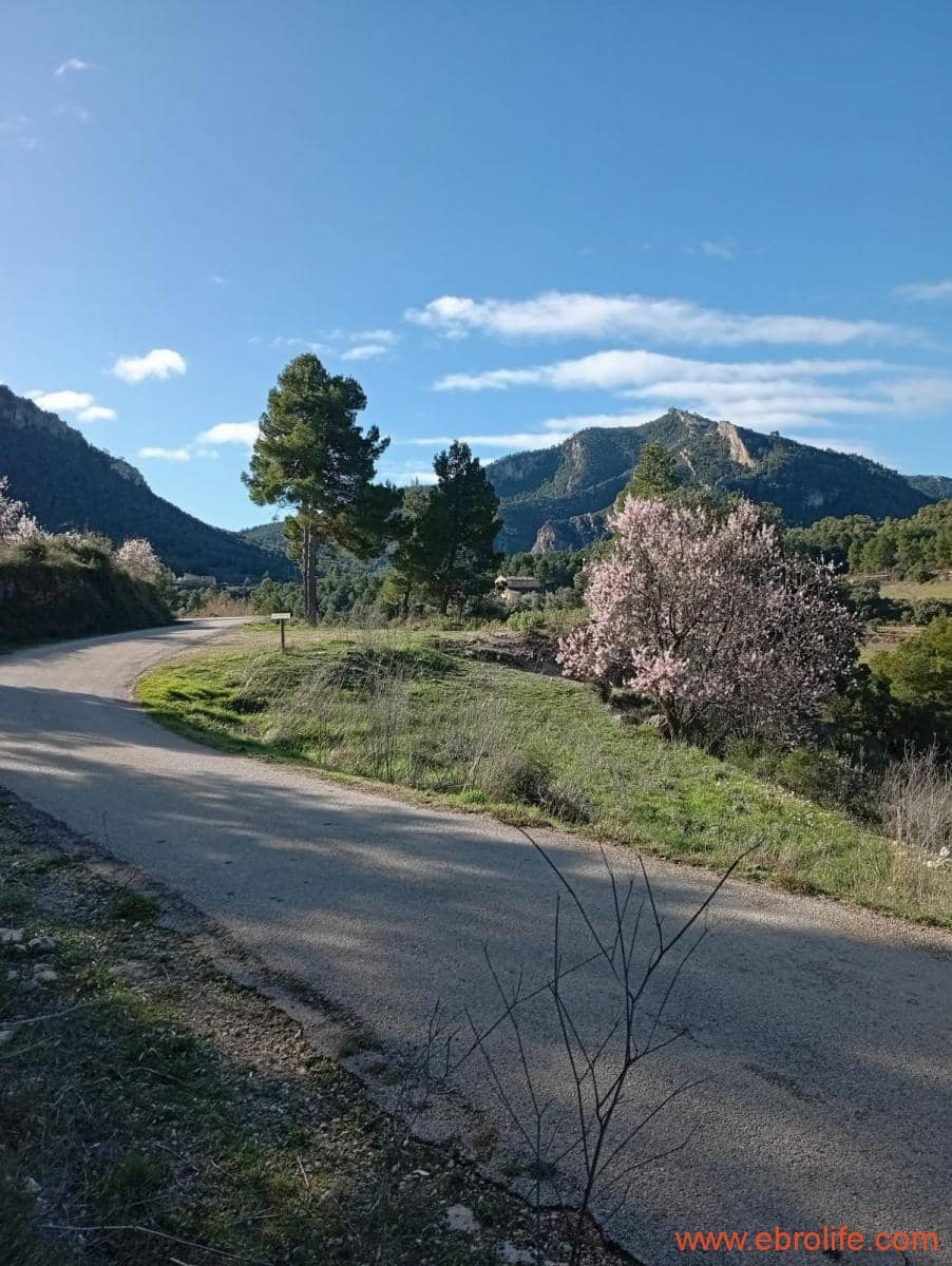 2 chambre Maison de Ville à vendre à Valderrobres - 320 000 € (Ref: 9764856)