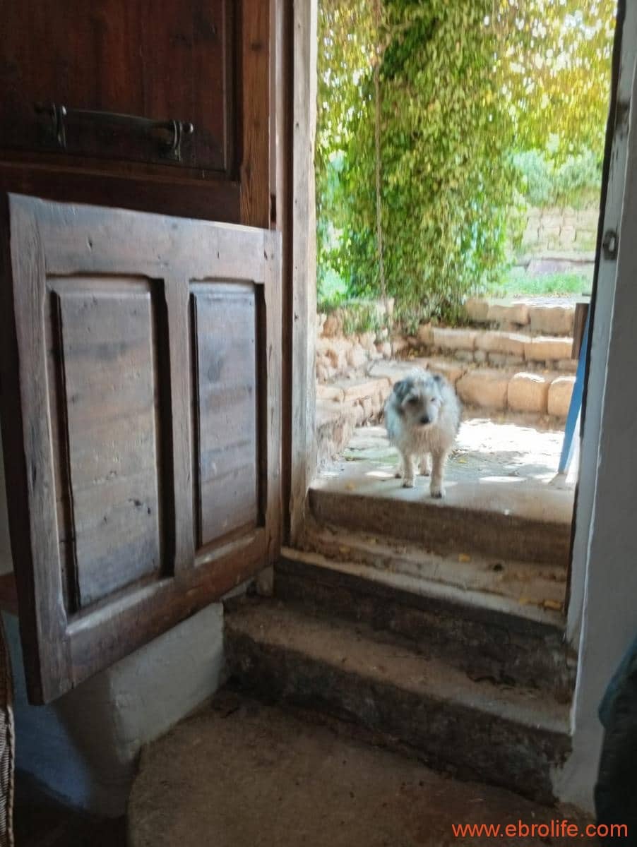 2 chambre Maison de Ville à vendre à Valderrobres - 320 000 € (Ref: 9764856)