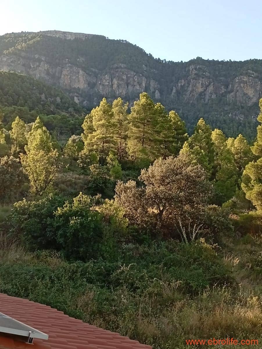 2 chambre Maison de Ville à vendre à Valderrobres - 320 000 € (Ref: 9764856)