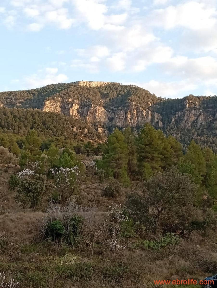 2 chambre Maison de Ville à vendre à Valderrobres - 320 000 € (Ref: 9764856)