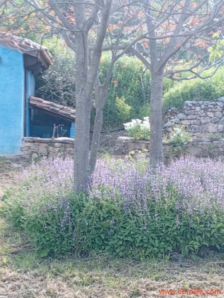 2 chambre Maison de Ville à vendre à Valderrobres - 320 000 € (Ref: 9764856)