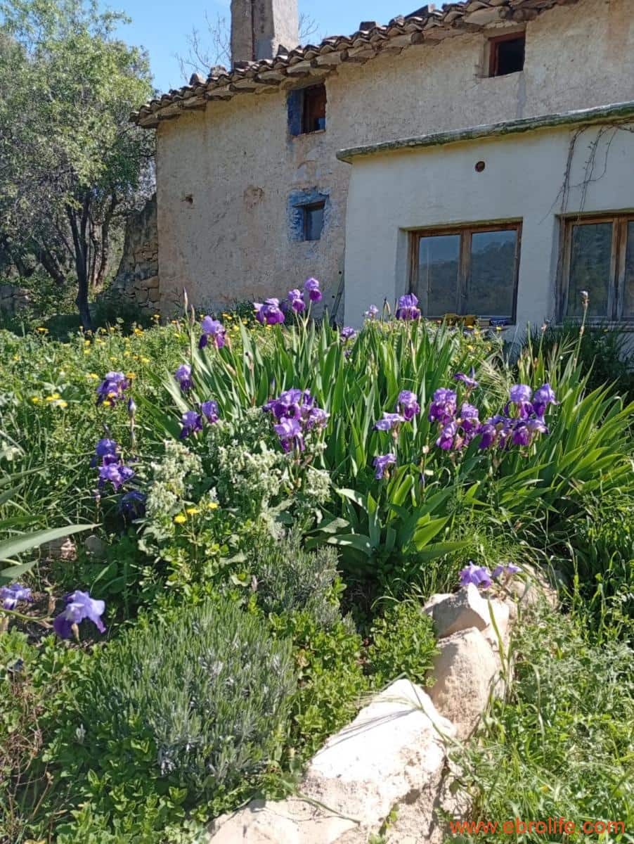 2 chambre Maison de Ville à vendre à Valderrobres - 320 000 € (Ref: 9764856)