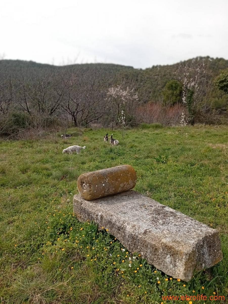 2 chambre Maison de Ville à vendre à Valderrobres - 320 000 € (Ref: 9764856)