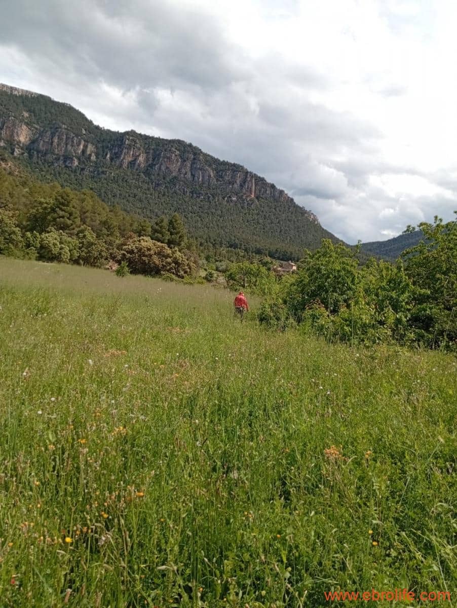 2 chambre Maison de Ville à vendre à Valderrobres - 320 000 € (Ref: 9764856)