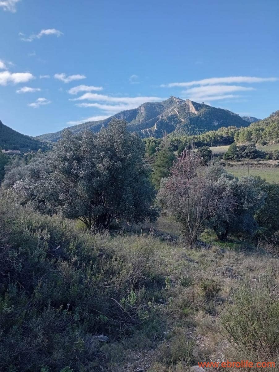 2 chambre Maison de Ville à vendre à Valderrobres - 320 000 € (Ref: 9764856)