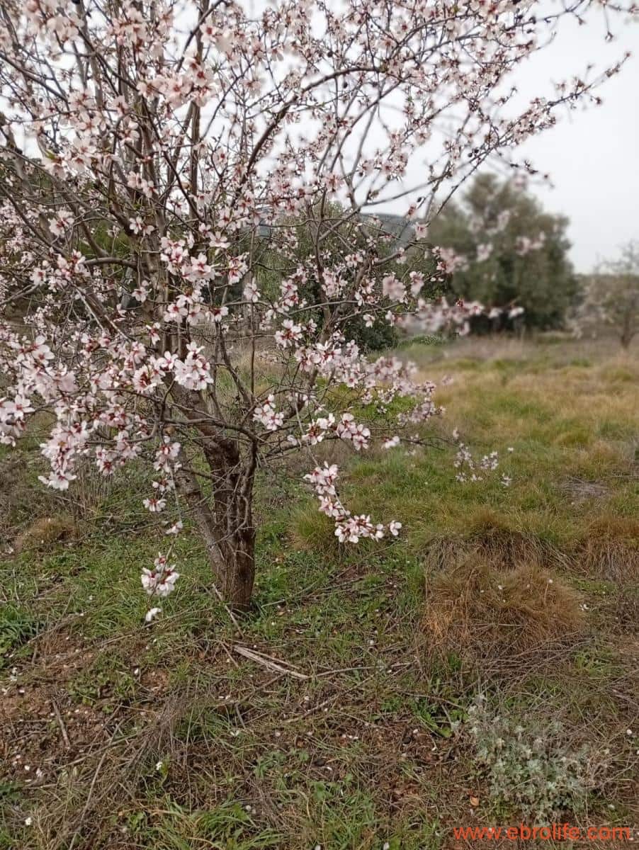 2 chambre Maison de Ville à vendre à Valderrobres - 320 000 € (Ref: 9764856)
