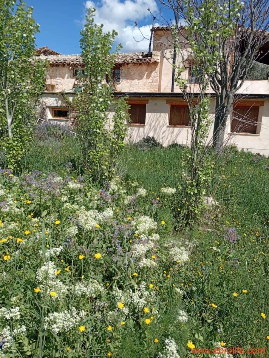 2 chambre Maison de Ville à vendre à Valderrobres - 320 000 € (Ref: 9764856)