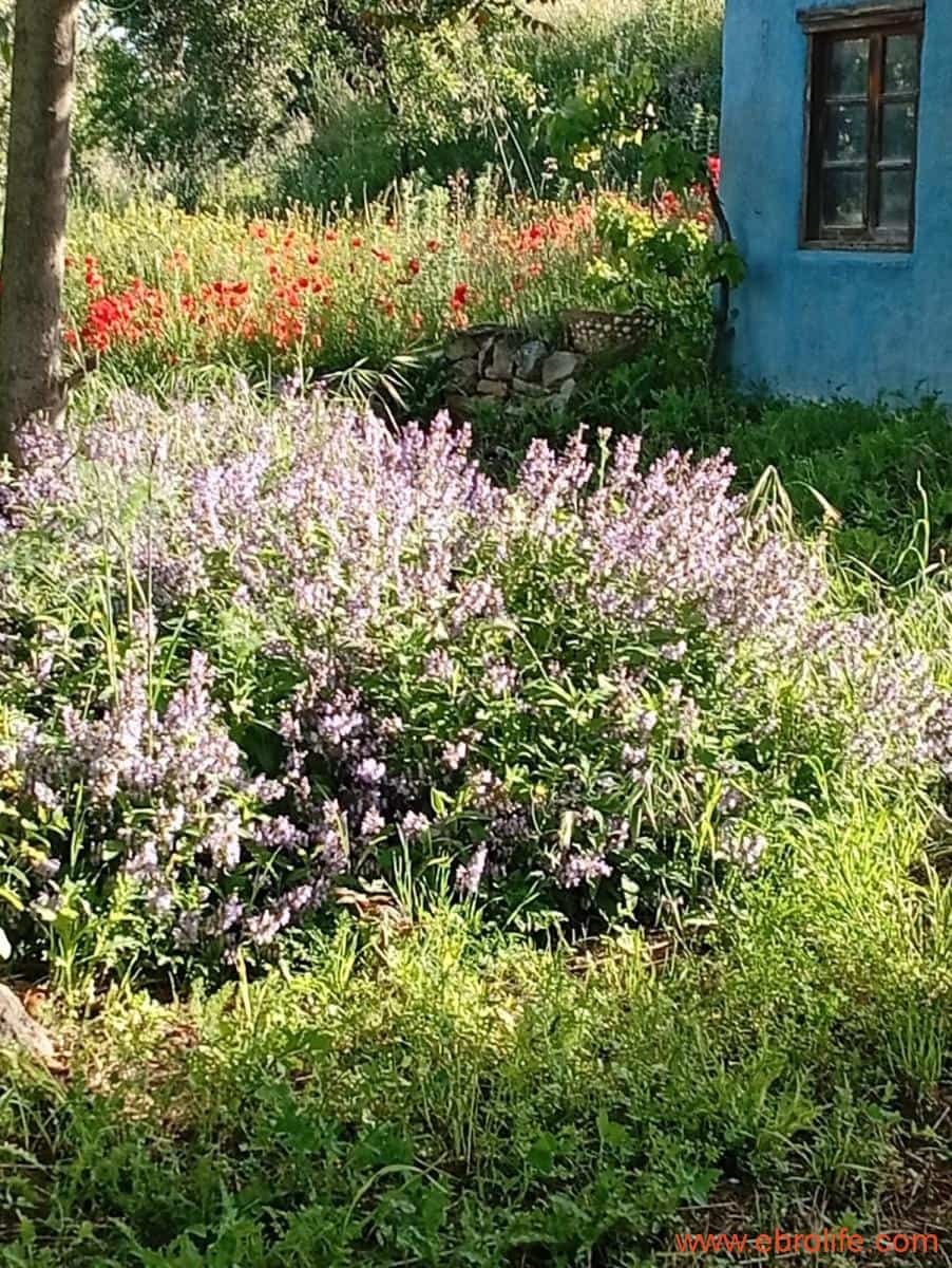 2 chambre Maison de Ville à vendre à Valderrobres - 320 000 € (Ref: 9764856)