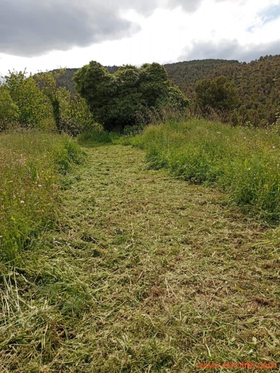 2 chambre Maison de Ville à vendre à Valderrobres - 320 000 € (Ref: 9764856)