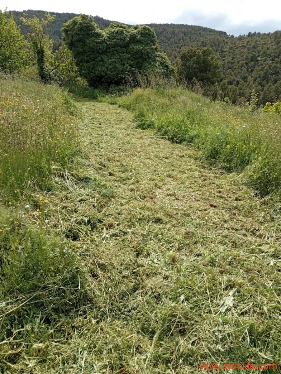 2 chambre Maison de Ville à vendre à Valderrobres - 320 000 € (Ref: 9764856)