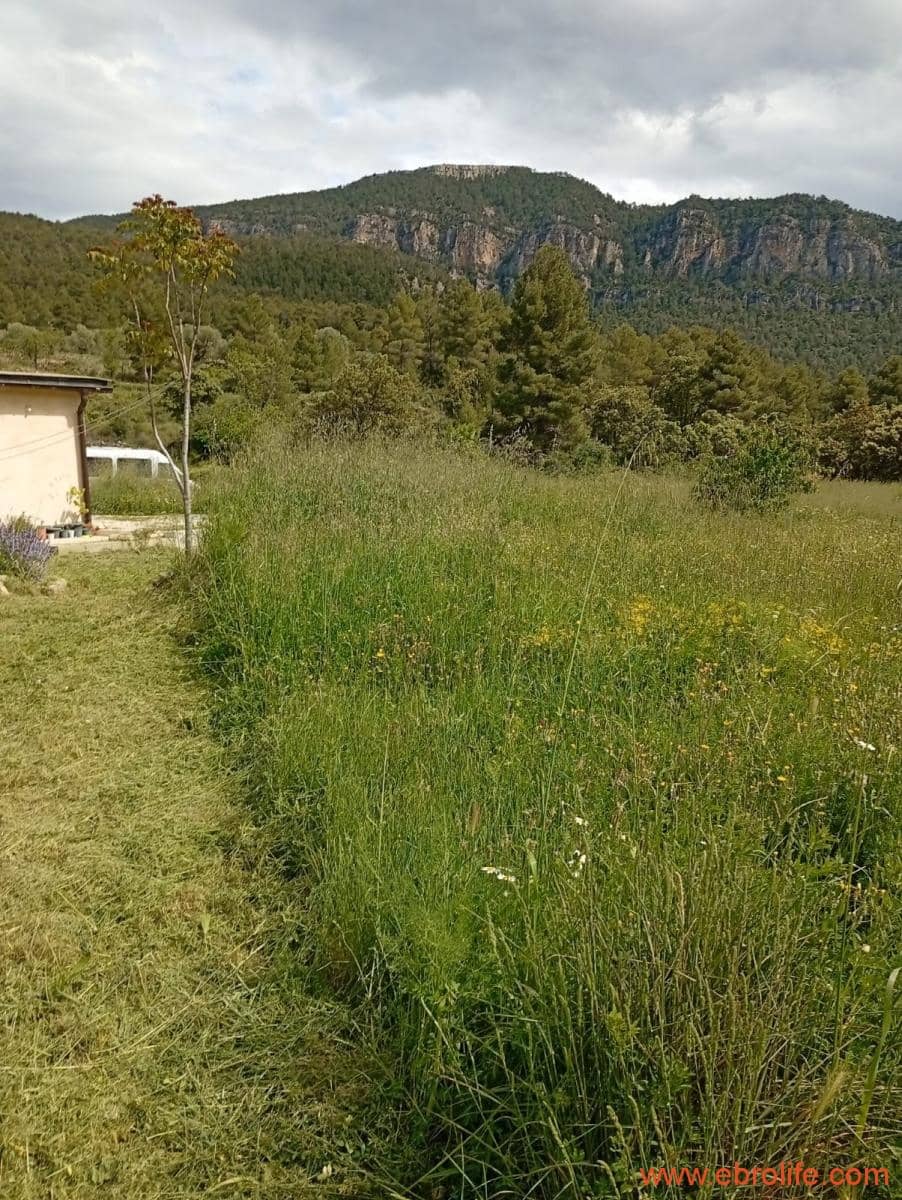 2 chambre Maison de Ville à vendre à Valderrobres - 320 000 € (Ref: 9764856)