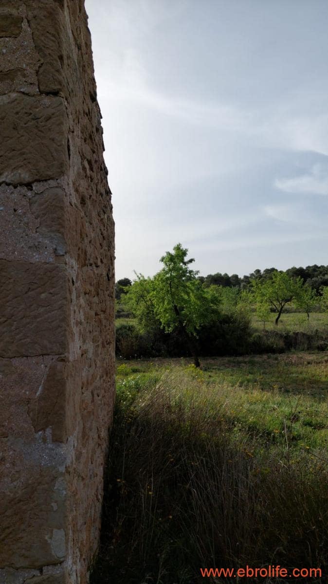 1 soverom Hus til salgs i Maella - € 36 000 (Ref: 9764888)