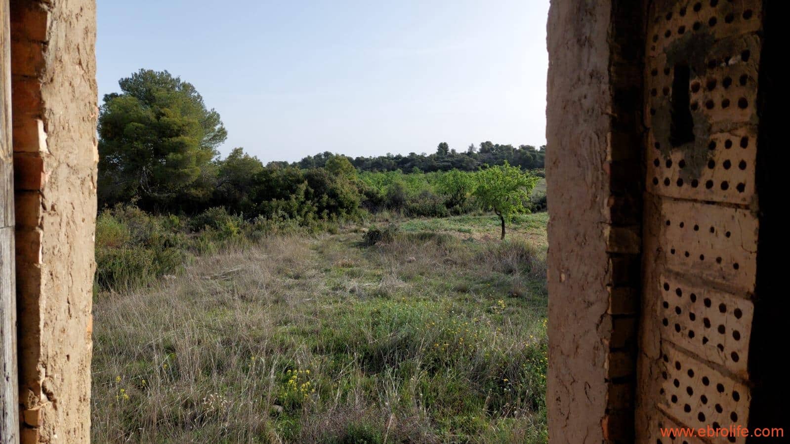 1 soverom Hus til salgs i Maella - € 36 000 (Ref: 9764888)