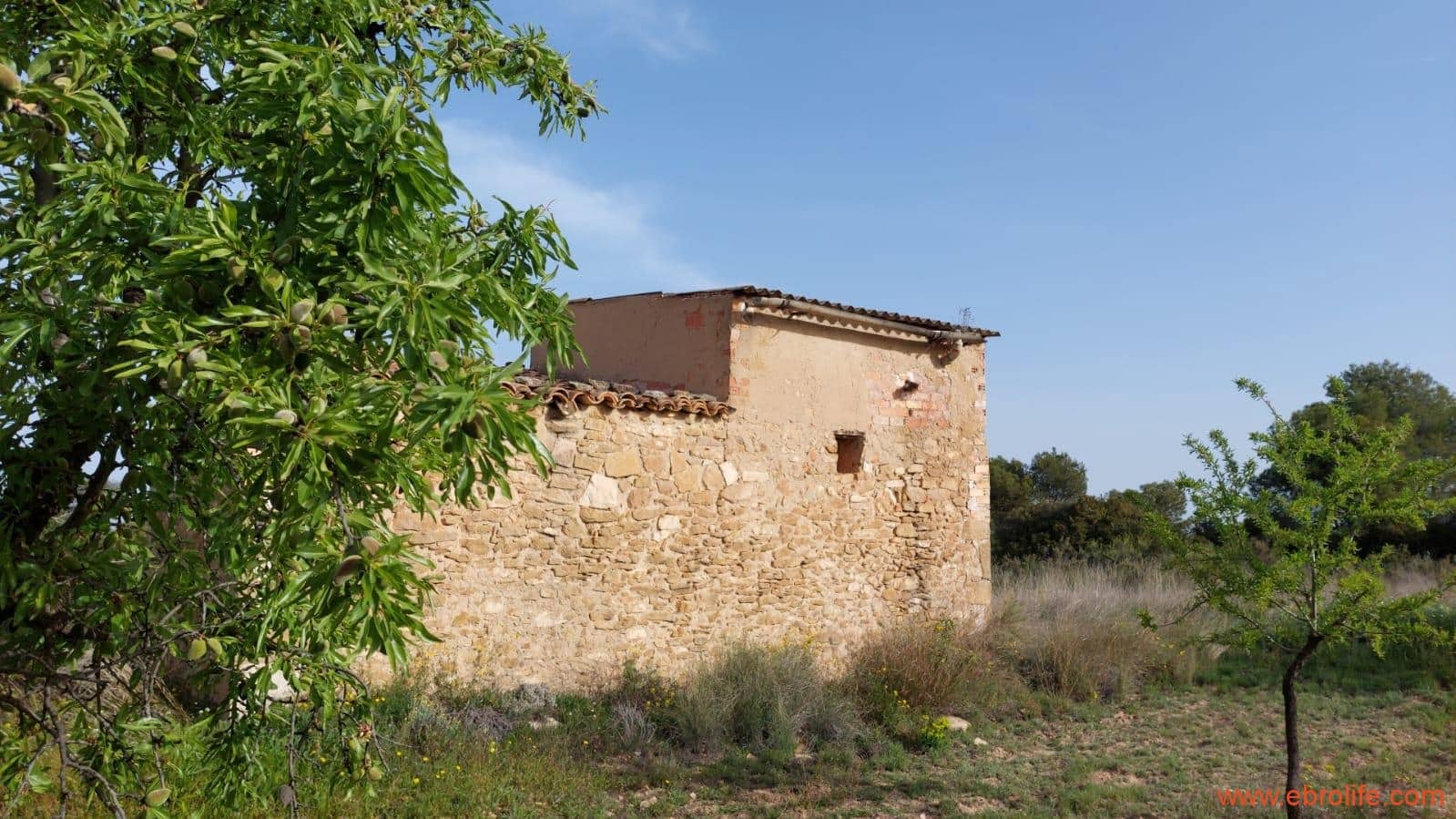 1 soverom Hus til salgs i Maella - € 36 000 (Ref: 9764888)