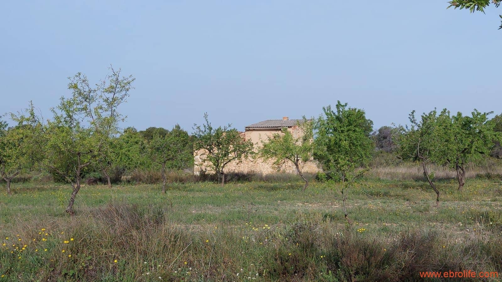 1 soverom Hus til salgs i Maella - € 36 000 (Ref: 9764888)