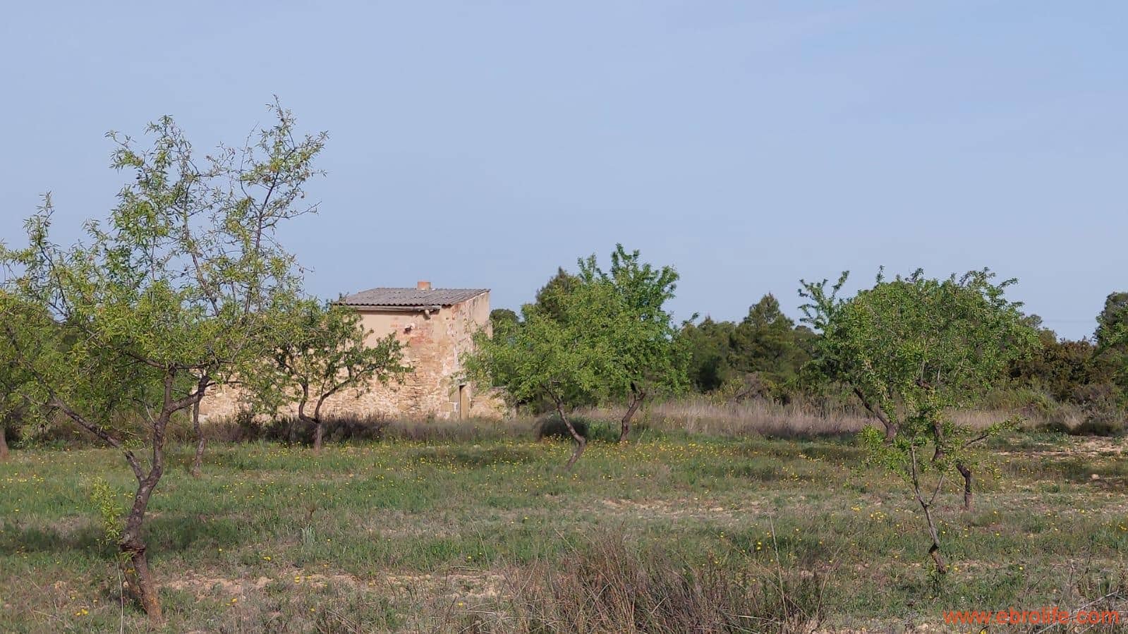 1 soverom Hus til salgs i Maella - € 36 000 (Ref: 9764888)