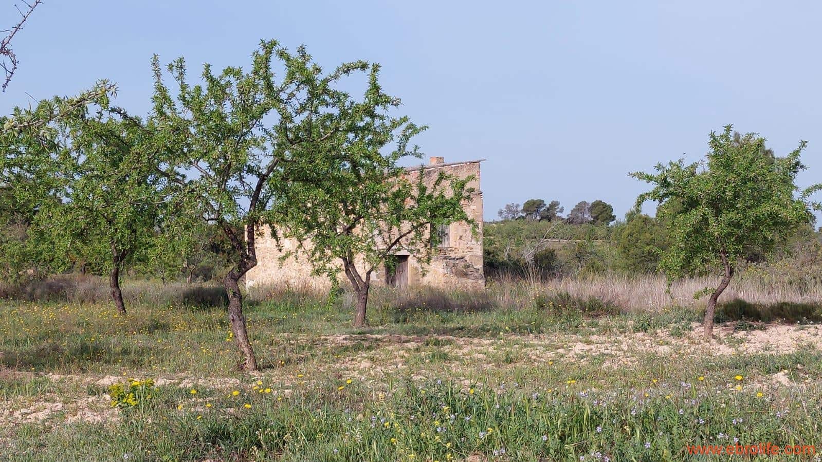 1 soverom Hus til salgs i Maella - € 36 000 (Ref: 9764888)