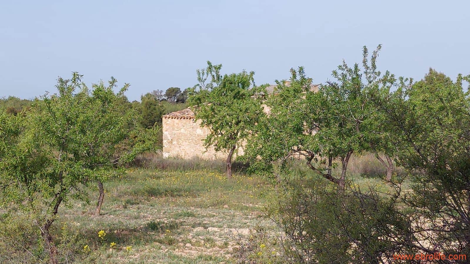 1 soverom Hus til salgs i Maella - € 36 000 (Ref: 9764888)