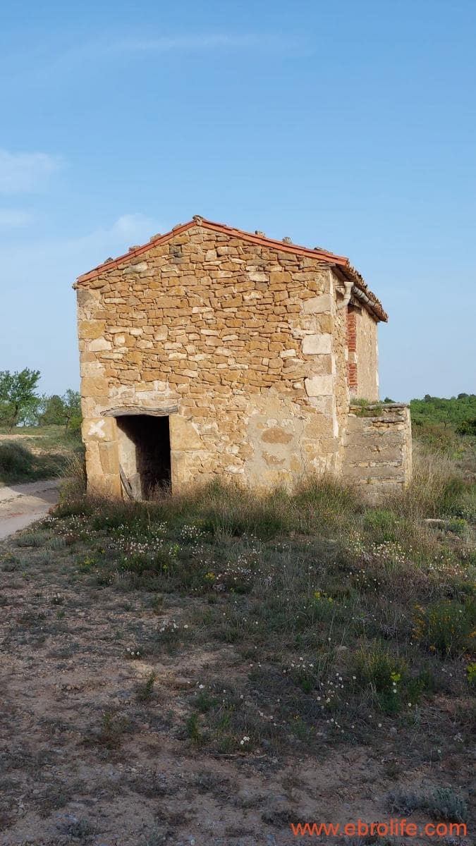 1 bedroom Townhouse for sale in Maella - € 16,000 (Ref: 9764889)