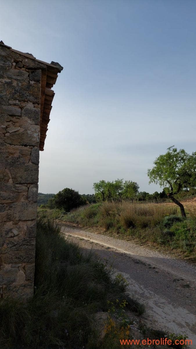 1 bedroom Townhouse for sale in Maella - € 16,000 (Ref: 9764889)