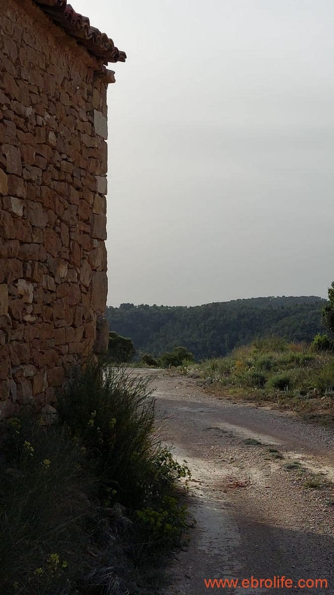 1 bedroom Townhouse for sale in Maella - € 16,000 (Ref: 9764889)