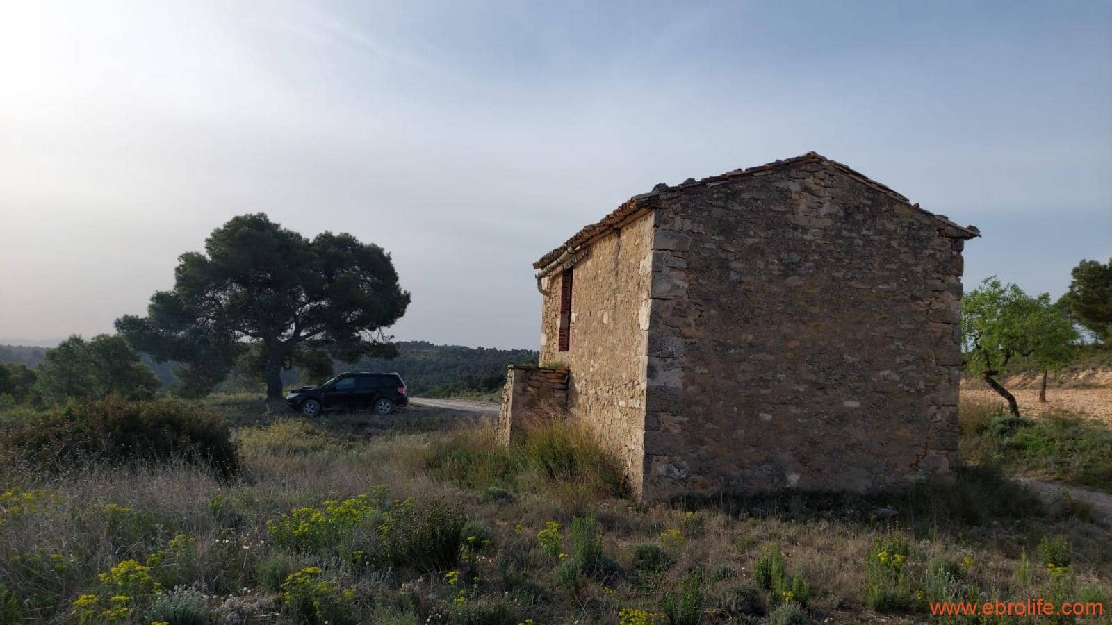 1 bedroom Townhouse for sale in Maella - € 16,000 (Ref: 9764889)