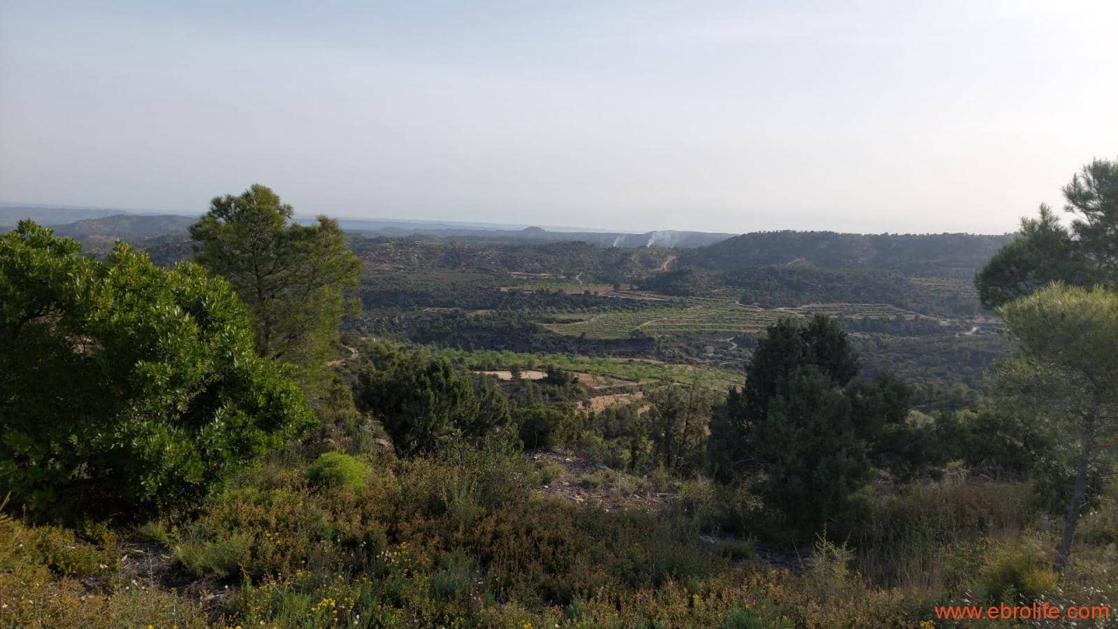 1 bedroom Townhouse for sale in Maella - € 16,000 (Ref: 9764889)