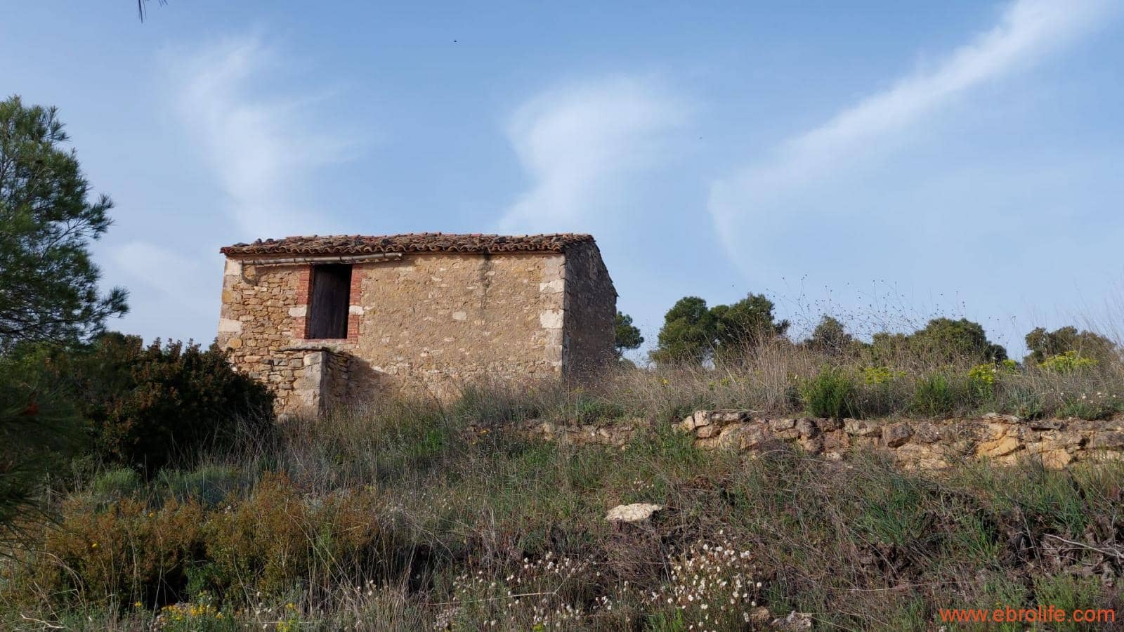 1 bedroom Townhouse for sale in Maella - € 16,000 (Ref: 9764889)