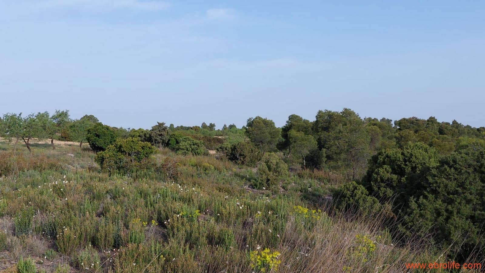 1 bedroom Townhouse for sale in Maella - € 16,000 (Ref: 9764889)