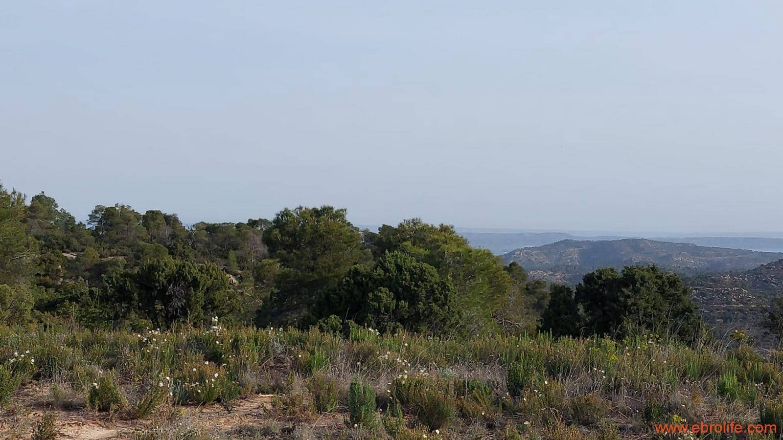 1 bedroom Townhouse for sale in Maella - € 16,000 (Ref: 9764889)