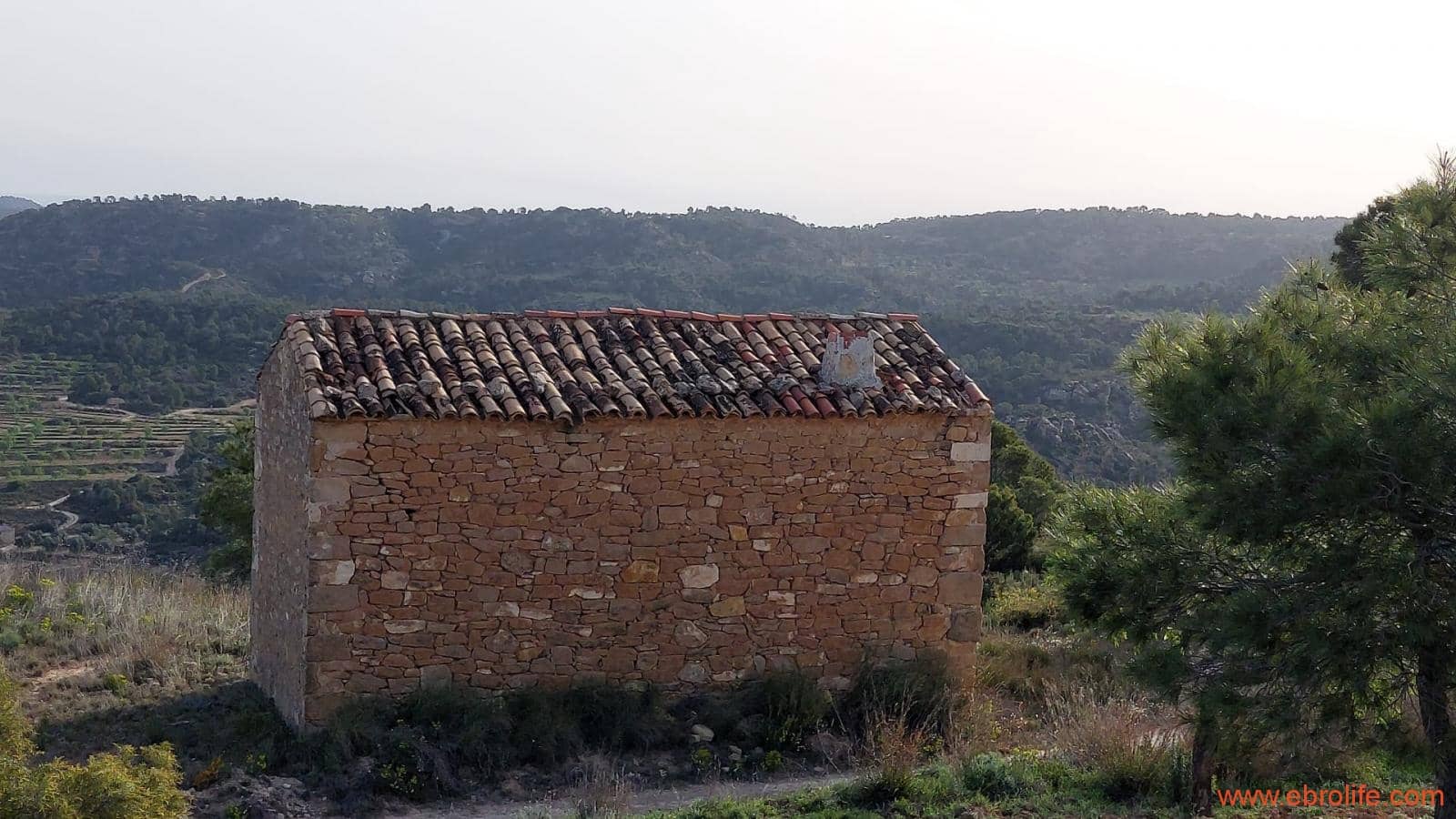 1 bedroom Townhouse for sale in Maella - € 16,000 (Ref: 9764889)