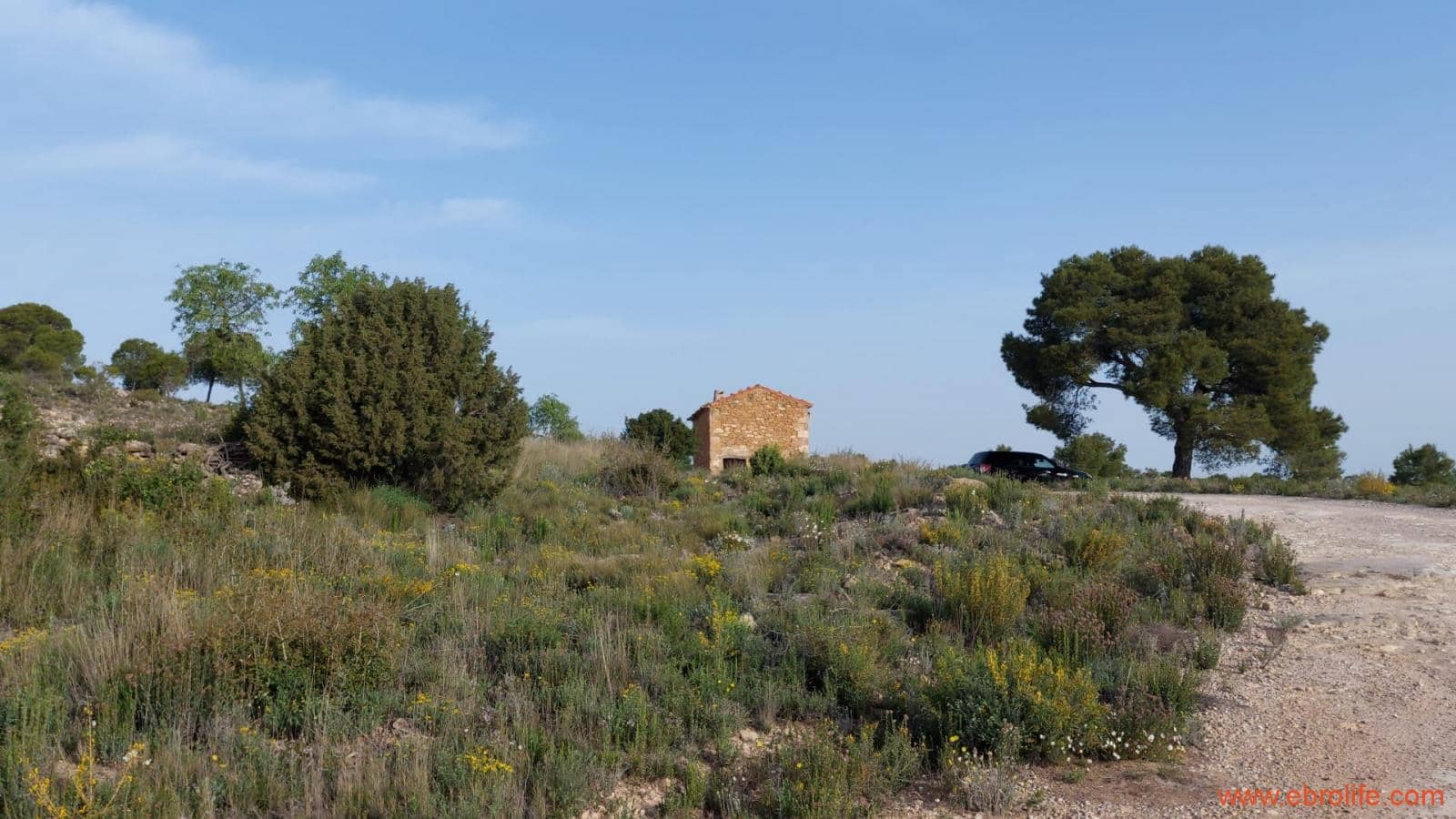 1 bedroom Townhouse for sale in Maella - € 16,000 (Ref: 9764889)